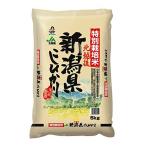 【精米】新潟県北越後産 特別栽培米白米 こしひかり 5kg 令和元年産