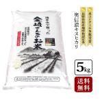 お米 5kg 奥信濃キヌヒカリ 令和7年産 長野県飯山