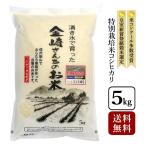 お米 5kg 特別栽培米コシヒカリ 令和7年産 長野県飯山