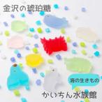 ≪石川屋本舗≫パステルカラーのかわいい琥珀糖 海の生きものいろいろ かいちん水族館【お子様への贈りもの 金沢土産 和菓子 ギフト スイーツ】