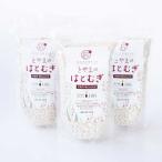 ≪JAいなば≫富山県産ハトムギ精白粒（砕粒）500g×3袋「産地直送」