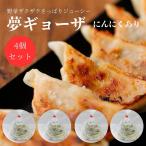 ≪夢工房≫夢ギョーザ 4個セット(ニンニク有)【送料無料】【冷凍 餃子 ギョーザ 水餃子 冷凍食品 野菜たっぷり 手作り 人気 簡単 食品 惣菜 中華惣菜 点心】