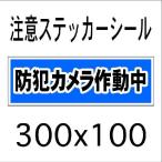 看板 防犯カメラ作動中　10cmｘ30cm　ステッカーシール4