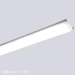 岩崎電気 ELUN42501BNPN9 ベースライト ライン形LEDユニット 2500lmタイプ 一般タイプ