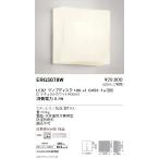 遠藤照明 アウトドアライト ブラケット 本体 Disk100 ERG5078W ※ランプ別売 グレアレスダウンライト/ベースダウンライト
