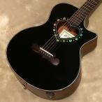 Zemaitis ( ゼマイティス ) CAM-90HCW, Gloss Black Abalone