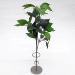  type bisi Kimi маленький размер 45cm( искусственный цветок * искусственная зелень * структура лист * человеческий труд декоративное растение )