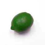 [ искусственный цветок lime ] lime 8cm( поддельный фрукты * фэйковая еда * образец блюда )