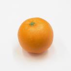  orange 8cm( фэйковая еда orange * образец блюда )