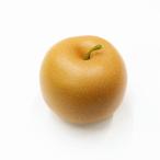 梨・ナシ（造花なし フェイクフルーツ フェイクフード 食品サンプル）