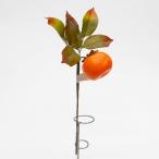  искусственный цветок хурма pick хурма ветка ( поддельный фрукты * фэйковая еда * фрукты образец блюда )