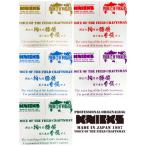 KNICKS　ニックス　TRL-B,R,BL,G,P,GO　特大　KINCKSオリジナル転写シール