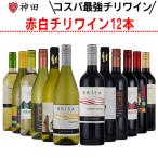 チリ ワイン 赤 白 １２本セット 飲