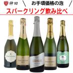 厳選 スパークリング ワイン セット 5 本 極 辛口 飲み比べ スペイン カヴァ ブリュット ナチュレ 父の日