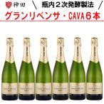 CAVA まとめ買い グラン・リベンサ 