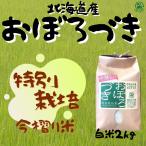 新米【特別栽培おぼろづき 白米 2ｋｇ】特別栽培　今摺り米　減農薬　北海道産