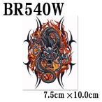 ¥É¥é¥´¥ó¥¤¥ó¥Õ¥ì¡¼¥à ε ζ¥¿¥È¥¥¡¼¥·¡¼¥ë(BR540W)¡ÚE2-3¡Û¥Õ¥§¥¤¥¯¥¿¥È¥¥¡¼ ¥Ü¥Ç¥£¥á¥¤¥¯ ´Êñ ¥Ñ¡¼¥Æ¥£¡¼¥°¥Ã¥º °ÂÁ´ ž¼Ì ¥ê¥¢¥ë