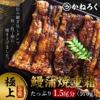 うな重 うなぎ 国産 570g ウナギ 鰻 鰻弁当 炭火焼き 浜松 土用 丑の日 父の日 父の日ギフト お中元 お取り寄せ