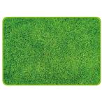  сиденье для отдыха 70×100 газонная трава сырой Picture D-2337 пикник сиденье ребенок популярный пикник жемчуг металл водоотталкивающая отделка 