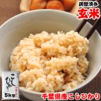 玄米 お米 5kg 令和元年産 千葉県産 コシヒカリ 再調整済み