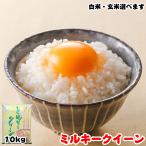 米 お米 10kg (5kgx2袋) 千葉県産 ミルキークイーン 白米or玄米選択可 熨斗紙 名入れ ギフト対応
