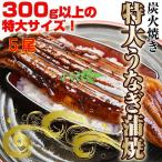 うなぎ 蒲焼き 5尾 中国産 約３００