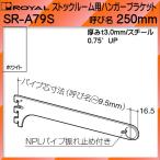  stock салон для вешалка держатель полки . Royal белый покраска SR-A79S -250mm