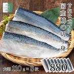 国産 天然 甘塩 鯖 切り身 100g×8切 