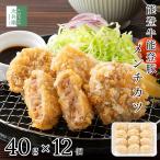 能登牛 能登豚 国産 メンチカツ 480g(40g×12個) 冷凍 ひと口 サイズ 能登牛と能登豚を使用 石川県 まとめ買いクーポン付 国内加工 豚 牛 カツ【C配送:冷凍】