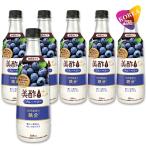 美酢プラス ブルーベリー 500ml 6本セット / CJ ミチョ+ 韓国 ドリンク 果実酢 飲みやすい 飲むお酢 飲む お酢 果実