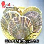 活ホタテ貝(特大)5枚詰め合わせ 海産物 北海道産 国産 お取り寄せ通販 道産品 厳選素材 プレゼント 贈り物 母の日 ギフト