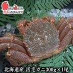 活毛がに 300g 1尾 北海道産 かにのマ