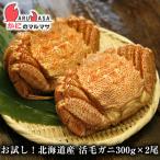 お試しセット 活毛がに(300g×2尾)セット お一人様1回限り お得なトライアルセット 毛がに 毛蟹 毛ガニ カニ通販 道産品 北海道産