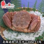 活毛がに(350g×1尾)セット 翌日便対応北海道 北海道産 毛がに 毛蟹 毛ガニ かに カニ 蟹 カニ通販 お取り寄せ通販 道産品 厳選素材 贈り物 残暑見舞い ギフト