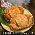 活毛がに(350g×2尾)セット 翌日便対応北海道 北海道産 毛がに 毛蟹 毛ガニ かに カニ 蟹 カニ通販 お取り寄せ通販 道産品 厳選素材 贈り物 お取り寄せ ギフト