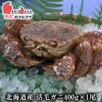 活毛がに 400g 1尾 北海道産 かにのマ