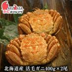 活毛がに(400g×2尾)セット 翌日便 北海道産 毛がに 毛蟹 毛ガニ かに カニ 蟹 カニ通販 お取り寄せ通販 道産品 厳選素材 贈り物 母の日 ギフト