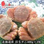 ショッピングかに 活毛がに 400g 3尾セット 北海道産 かにのマルマサ 極上毛ガニ カニ かに 蟹 毛蟹 毛がに お土産 通販 贈り物 母の日 ギフト