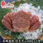 活毛がに 450g 1尾 北海道産 かにのマ