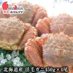 活毛がに(450g×4尾)セット 翌日便 北海道産 毛がに 毛蟹 毛ガニ かに カニ 蟹 カニ通販 お取り寄せ通販 道産品 厳選素材 贈り物 残暑見舞い ギフト