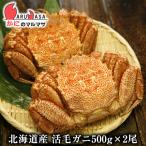 活毛がに(500g×2尾)セット 翌日便 北海道産 毛がに 毛蟹 毛ガニ かに カニ 蟹 カニ通販 お取り寄せ通販 道産品 厳選素材 贈り物 母の日 ギフト