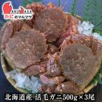 活毛がに(500g×3尾)セット 翌日便 北海道産 毛がに 毛蟹 毛ガニ かに カニ 蟹 カニ通販 お取り寄せ通販 道産品 厳選素材 贈り物 お中元 ギフト