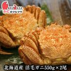 活毛がに 550g 2尾セット 北海道産 かにのマルマサ 極上毛ガニ カニ かに 蟹 毛蟹 毛がに お土産 通販 贈り物 お取り寄せ ギフト