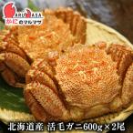 活毛がに(600g×2尾)セット 翌日便 北海道産 毛がに 毛蟹 毛ガニ かに カニ 蟹 カニ通販 お取り寄せ通販 道産品 厳選素材 贈り物 母の日 ギフト