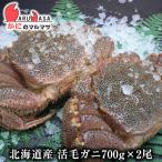 . шерсть ..700g 2 хвост комплект на следующий день рейс соответствует Hokkaido производство краб. maru masa первоклассный четырёхугольный волосатый краб краб краб . шерсть . четырёхугольный волосатый краб почтовый заказ подарок дорога производство товар ваш заказ подарок 
