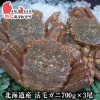 活毛がに(700g×3尾)セット 翌日便 北海道産 毛がに 毛蟹 毛ガニ かに カニ 蟹 カニ通販 特大 お取り寄せ通販 道産品 厳選素材 贈り物 母の日 ギフト