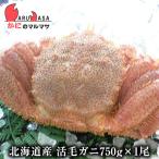 . шерсть ..750g 1 хвост комплект на следующий день рейс соответствует Hokkaido производство краб. maru masa первоклассный четырёхугольный волосатый краб краб краб . шерсть . четырёхугольный волосатый краб почтовый заказ подарок дорога производство товар ваш заказ подарок 