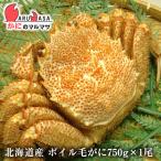  Boyle шерсть ..750g 1 хвост комплект на следующий день рейс соответствует Hokkaido производство краб. maru masa первоклассный четырёхугольный волосатый краб краб краб . шерсть . четырёхугольный волосатый краб почтовый заказ подарок дорога производство товар ваш заказ подарок 