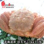 . шерсть ..1kg 1 хвост комплект на следующий день рейс соответствует Hokkaido производство краб. maru masa первоклассный четырёхугольный волосатый краб краб краб . шерсть . четырёхугольный волосатый краб почтовый заказ подарок дорога производство товар ваш заказ подарок 