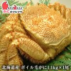 ボイル毛がに 1.1kg 1尾セット 北海道産 かにのマルマサ 極上毛ガニ カニ かに 蟹 毛蟹 毛ガニ 通販 贈り物 道産品 お取り寄せ ギフト